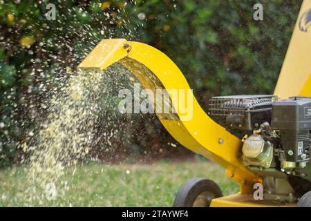 Haushäcksler, der im Garten Schrott schneidet. Ökologisches Konzept im Garten. Stockfoto