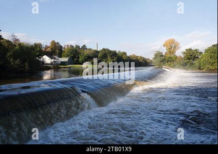 River Taff am Llandaff Weir, Cardiff Wales, Vereinigtes Königreich, fließendes Wasser Stockfoto