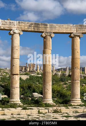 Säulen auf der Oval Plaza in der antiken Stadt Jerash, die vermutlich 331 v. Chr. von Alexander dem Großen in Jordanien gegründet wurde Stockfoto