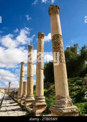 Säulen auf der Oval Plaza in der antiken Stadt Jerash, die vermutlich 331 v. Chr. von Alexander dem Großen in Jordanien gegründet wurde Stockfoto