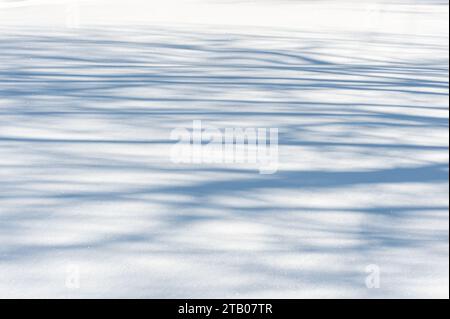 Schatten auf frisch gefallenem Schnee Stockfoto