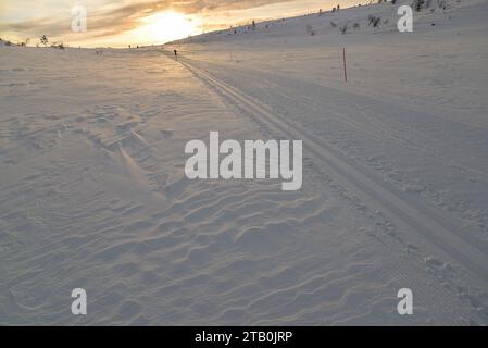 Skifahrer gleiten im Nationalpark Pallas-Yllästunturi im Norden Finnlands. Stockfoto