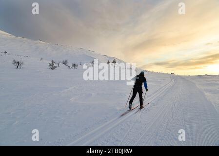 Skifahrer gleiten im Nationalpark Pallas-Yllästunturi im Norden Finnlands. Stockfoto