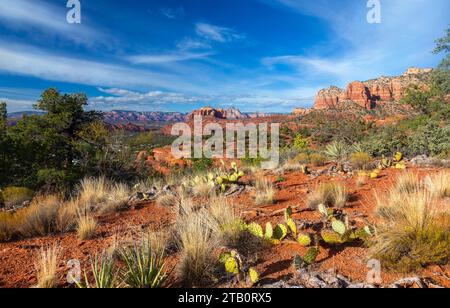 Malerische Wüstenlandschaft Kaktuspflanzen Entfernte Kathedrale Red Rock Energy Vortex Blaue Skyline. Berühmter Transept Wander Trail Sedona Arizona Südwesten der USA Stockfoto