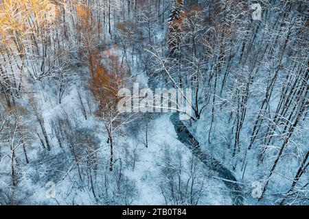 Winterlandschaft mit einem Bach, der durch einen verschneiten Wald fließt Stockfoto