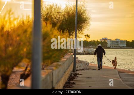 Rückansicht eines älteren Mannes macht einen Morgenspaziergang mit einem Hund am Meer, in der Nähe von Privlaka, Kroatien. Farbenfroher Sonnenaufgang am Strand in Herbstfarben. Stockfoto