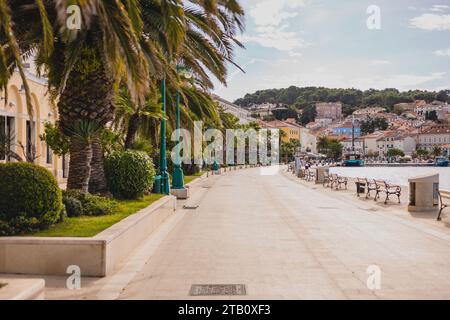 Promenade mit Palmen und anderen Bäumen und Häusern im Hintergrund in der Stadt Mali Losinj auf der kroatischen Insel Losinj an einem sonnigen Herbsttag. Stockfoto