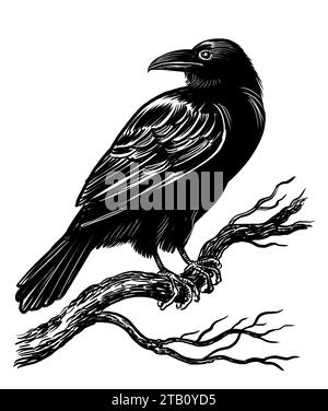 Krähen Sie einen Vogel auf einem Baumzweig. Handgezeichnete Schwarz-weiß-Illustration Stockfoto