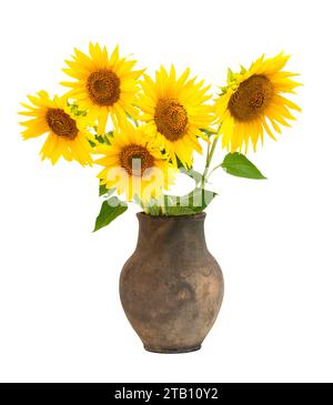 Blumenstrauß von Sonnenblumen in einem Tontopf auf weißem isoliertem Hintergrund Stockfoto