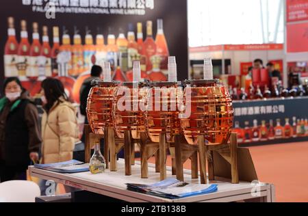 Die Asia Food Expo 2023 und die 13. Internationale Wein- und Lebensmittelmesse in China (Nanjing), eröffnet am 1. Dezember 2 in Nanjing City, ostchinesischer Provinz Jiangsu Stockfoto