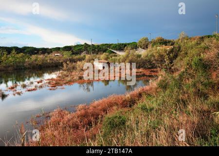 Ravenna, Emilia Romagna, Italien: Landschaft des Feuchtgebiets mit Fischerhütten im Naturschutzgebiet Po Delta Park Stockfoto