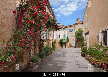 Lourmarin, Vaucluse, Provence, Frankreich: Malerische alte Gasse im alten Dorf mit Pflanzen und roten Rosen Stockfoto