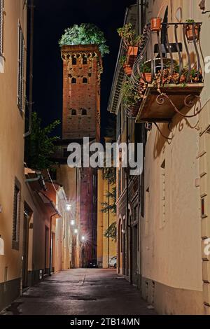 Lucca, Toskana, Italien: Nächtlicher Blick auf den mittelalterlichen Guinigi-Turm mit den Bäumen (Steineichen) auf der Spitze, von einer engen Gasse in der Altstadt der Antike Stockfoto