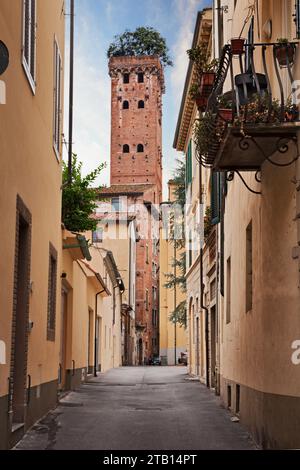 Lucca, Toskana, Italien: Blick auf den mittelalterlichen Guinigi-Turm mit den Bäumen (Steineichen) auf der Spitze, von einer engen Gasse in der Altstadt der antiken Stadt Stockfoto