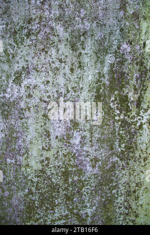 Die abstrakte Textur der alten Grunge-Wand kann als Hintergrundbild verwendet werden Stockfoto
