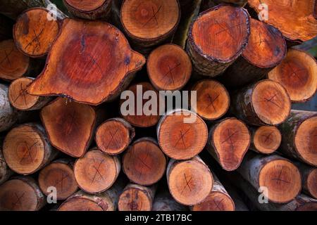 Gestapelte Holzscheite abstrakte Mustertextur kann als Hintergrundtapete verwendet werden Stockfoto