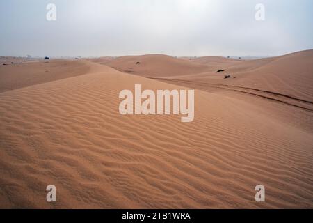 Al Qudra leeres Viertel nahtlose Wüste sahara in Dubai VAE im Nahen Osten mit Windwegen und Sandhügeln unter grauem bewölktem Himmel Stockfoto