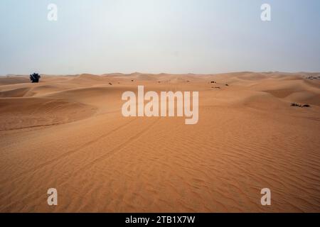 Al Qudra leeres Viertel nahtlose Wüste sahara in Dubai VAE im Nahen Osten mit Windwegen und Sandhügeln unter grauem bewölktem Himmel Stockfoto