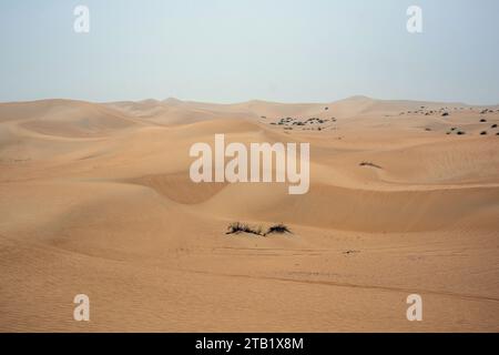 Al Qudra leeres Viertel nahtlose Wüste sahara in Dubai VAE im Nahen Osten mit Windwegen und Sandhügeln unter grauem bewölktem Himmel Stockfoto