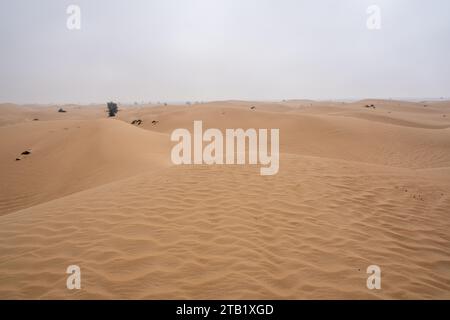 Al Qudra leeres Viertel nahtlose Wüste sahara in Dubai VAE im Nahen Osten mit Windwegen und Sandhügeln unter grauem bewölktem Himmel Stockfoto