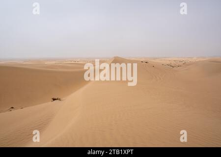 Al Qudra leeres Viertel nahtlose Wüste sahara in Dubai VAE im Nahen Osten mit Windwegen und Sandhügeln unter grauem bewölktem Himmel Stockfoto