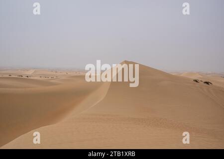 Al Qudra leeres Viertel nahtlose Wüste sahara in Dubai VAE im Nahen Osten mit Windwegen und Sandhügeln unter grauem bewölktem Himmel Stockfoto