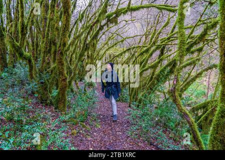 Der Wald der moosigen Bäume (Farfa, Italien) Stockfoto