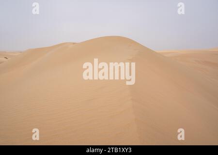 Al Qudra leeres Viertel nahtlose Wüste sahara in Dubai VAE im Nahen Osten mit Windwegen und Sandhügeln unter grauem bewölktem Himmel Stockfoto