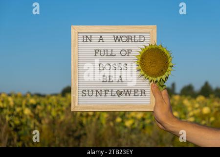 IN Einer WELT VOLLER ROSEN IST Ein SONNENBLUMENTEXT auf weißem Tafel neben dem Sonnenblumenfeld. Sonniger Sommertag. Inspirierendes Zitat zur Motivationsunterschrift. Ein einzigartiges Konzept Stockfoto