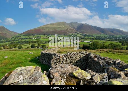 Trockenmauern auf landwirtschaftlich genutzten Flächen und Blencathra im Sommer Threlkeld in der Nähe des Keswick Lake District National Park Cumbria England Großbritannien Stockfoto