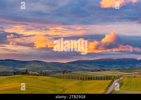 Es ist Frühling in der Toskana und ein Bild von einem Sonnenaufgang im Agriturismo Poggio Covili, in der Nähe der Stadt Castiglione d'Orcia, im Val d'Orcia auf der Stockfoto