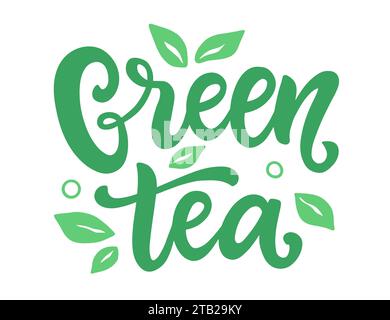 Logo Mit Grünem Tee. Handgeschriebene Schrift Stock Vektor