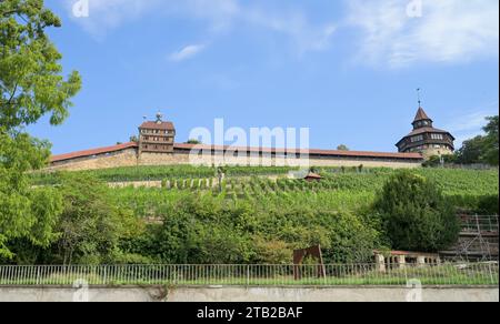 Stadtmauer, Esslinger Burg, Dicker Turm, Esslingen, Baden-Württemberg, Deutschland Stockfoto