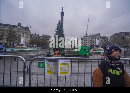 London Großbritannien. 4. Dezember 2023. Eine 62 ft (19 m) norwegische Fichte, die in Nordmarka, den Wäldern nördlich von Oslo, angebaut wird, wird auf dem Trafalgar Square installiert. Der Weihnachtsbaum ist ein jährliches Geschenk der Stadt Oslo und des norwegischen Volkes als Dank an die britische Unterstützung Norwegens während des Zweiten Weltkriegs . Eine Lichtzeremonie findet statt, an der Lord Mayor of Westminster, der britische Botschafter in Norwegen und der Bürgermeister von Oslo teilnehmen. Credit: amer ghazzal/Alamy Live News. Stockfoto