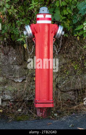 Ein leuchtender rot-silberner Hydrant steht in der Nähe von üppig grünen Büschen Stockfoto