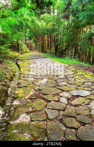 Die antike Nakasendo-Route am Ochiai Kopfsteinpflasterweg im ländlichen Kiso-Tal, Präfektur Gifu, japan. Stockfoto