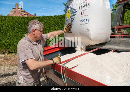 Düngemittel auf Weizen in der Kopfstufe verteilen. Yara Dünger für landwirtschaftliche Zwecke, Düngersäcke, die von einem Traktor angehoben werden, YaraBela EXTRAN (33 % N), gran Stockfoto