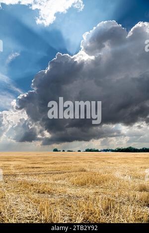 Gewitterkumulonimbusbildung über einem Feld. Sehr bewölkter Himmel, Wolken und donnernder Regen, donnernde Phänomene über einem Baumhain und einem Stockfoto