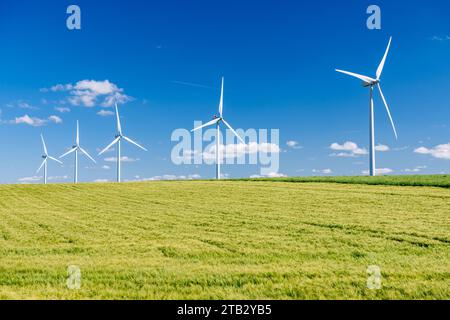 Windpark: Windkraftanlagen inmitten von Kulturfeldern. Fünf Windenergieanlagen hintereinander. Feld von bere Stockfoto