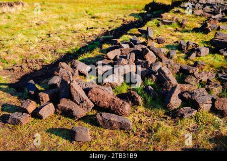 An der irischen Küste werden traditionelle Torfblöcke aus einem reichen und vielfältigen Feuchtgebiet geerntet. Stockfoto