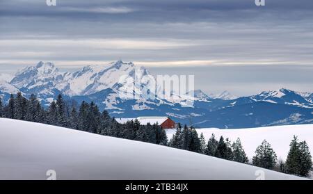 Panoramablick über den Bregenzer Wald bis zum Saentis in der Schweiz im Winter, Vorarlberg, Österreich Stockfoto