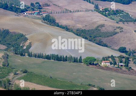 Eine idyllische Landschaft große Blick auf Montepulciano auf dem Land, wie von oben in der Stadt gesehen, im Herbst Sonnenuntergang Licht getaucht - Italien Stockfoto