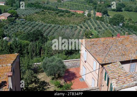 Panoramablick auf die typische toskanische Landschaft aus Montepulciano, Toskana, Italien, Europa Stockfoto