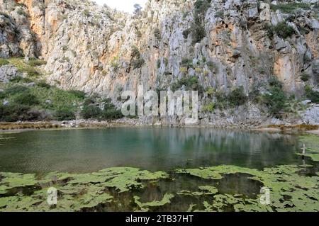 Torrent de Pareis (Tramontana-Gebirge), Mallorca, Balearen, Spanien. Stockfoto