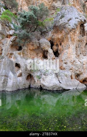 Torrent de Pareis (Tramontana-Gebirge), Mallorca, Balearen, Spanien. Stockfoto