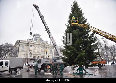 Lviv, Ukraine. Dezember 2023. Arbeiter installieren einen Weihnachtsbaum auf dem Platz vor der Oper in Lemberg. Nach langen Gesprächen wurde trotz der Machbarkeit eines Weihnachtsbaums während des russisch-ukrainischen Krieges entschieden, diesen trotzdem zu installieren. Ein Bewohner der Gemeinde präsentierte der Stadt den Weihnachtsbaum von seinem eigenen Bauernhof. Daher wurde kein Geld aus dem Budget für sie ausgegeben. Beleuchtung, die 2018 gekauft wurde, wird zur Beleuchtung des Weihnachtsbaums verwendet. Quelle: SOPA Images Limited/Alamy Live News Stockfoto