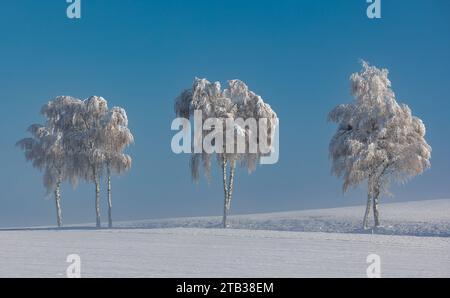 Winterliches Landschaft der Winter hat die Landschaft rund um die deutsche Gemeinde Degernau, welche ein Ortssteil von Wutöschingen ist, fest im Griff. Degernau, Deutschland, 03.12.2023 *** Winterlandschaft der Winter hat die Landschaft rund um die deutsche Gemeinde Degernau, die Teil von Wutöschingen Degernau ist, 03 12 2023 Credit: Imago/Alamy Live News Stockfoto