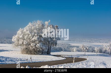 Winterliches Landschaft der Winter hat die Landschaft rund um die deutsche Gemeinde Degernau, welche ein Ortssteil von Wutöschingen ist, fest im Griff. Degernau, Deutschland, 03.12.2023 *** Winterlandschaft der Winter hat die Landschaft rund um die deutsche Gemeinde Degernau, die Teil von Wutöschingen Degernau ist, 03 12 2023 Credit: Imago/Alamy Live News Stockfoto