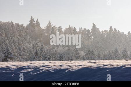 Winterliches Landschaft der Winter hat die Landschaft rund um die deutsche Gemeinde Degernau, welche ein Ortssteil von Wutöschingen ist, fest im Griff. Degernau, Deutschland, 03.12.2023 *** Winterlandschaft der Winter hat die Landschaft rund um die deutsche Gemeinde Degernau, die Teil von Wutöschingen Degernau ist, 03 12 2023 Credit: Imago/Alamy Live News Stockfoto