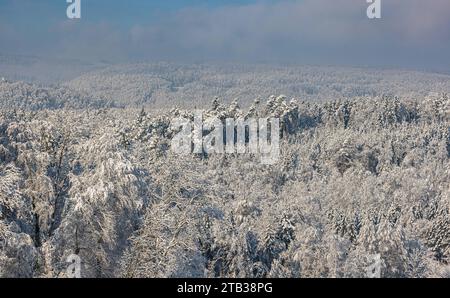 Winterliches Landschaft der Winter hat die Landschaft rund um die deutsche Gemeinde Degernau, welche ein Ortssteil von Wutöschingen ist, fest im Griff. Degernau, Deutschland, 03.12.2023 *** Winterlandschaft der Winter hat die Landschaft rund um die deutsche Gemeinde Degernau, die Teil von Wutöschingen Degernau ist, 03 12 2023 Credit: Imago/Alamy Live News Stockfoto